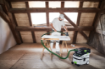 Immagine di Festool - CTLC MIDI I-Basic Aspiratore a Batteria